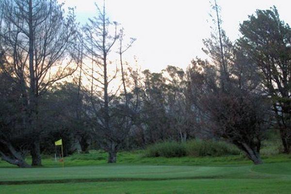 ボルケーノ Pukeawe Placeヴィラ エクステリア 写真